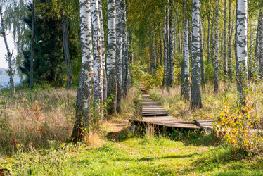 Similar image 21032598