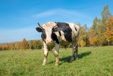 Similar image 21032600