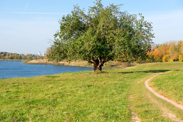 Similar image 21032602