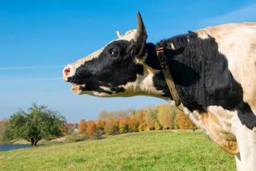 Similar image 21032604