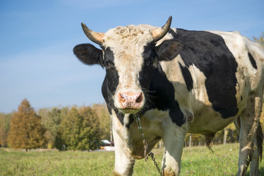 Similar image 21032606