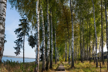 Similar image 21032607