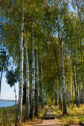 Similar image 21032609