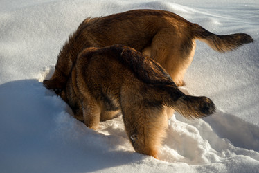 Similar image 21032610