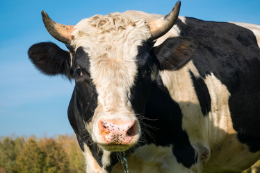 Similar image 21032614