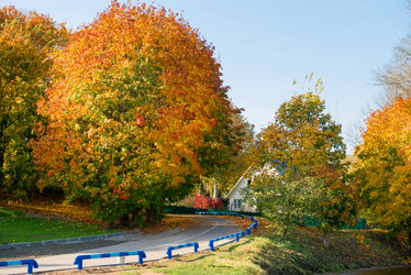 Similar image 21032615