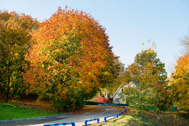 Similar image 21032619