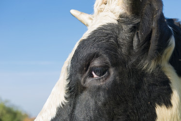 Similar image 21032620