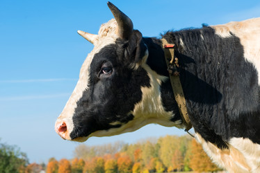 Similar image 21032622