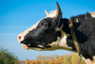 Similar image 21032624