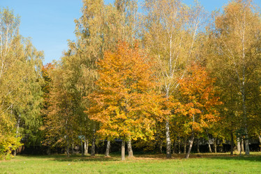 Similar image 21032626