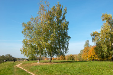 Similar image 21033717