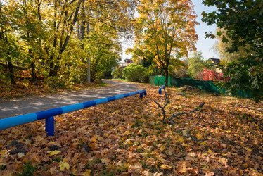 Similar image 21033718