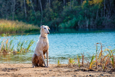 Similar image 21033719