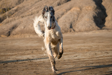 Similar image 21033723