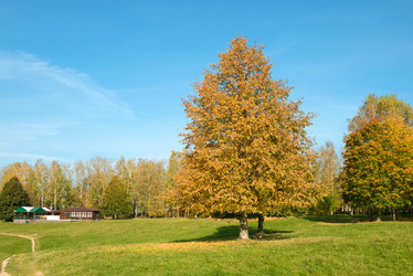 Similar image 21033785