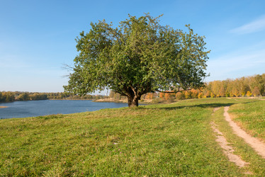 Similar image 21033787