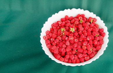 Similar image 21029906