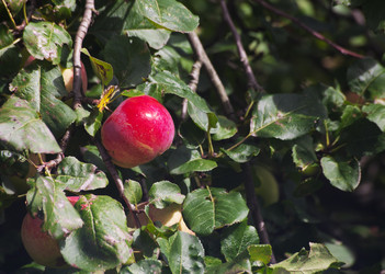 Similar image 21029911