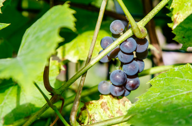 Similar image 21029916