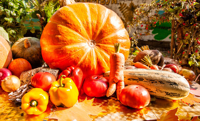 Similar image 21029917