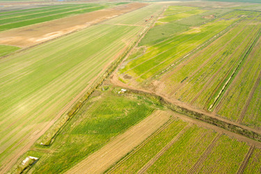 Similar image 21033805