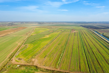 Similar image 21033807