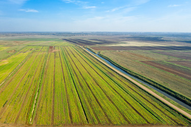 Similar image 21033813