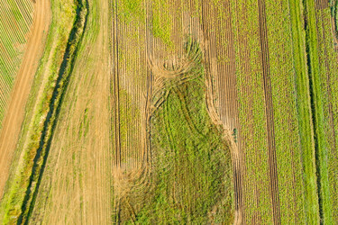 Similar image 21033817