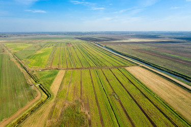 Similar image 21033819