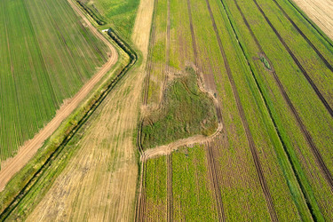 Similar image 21035362