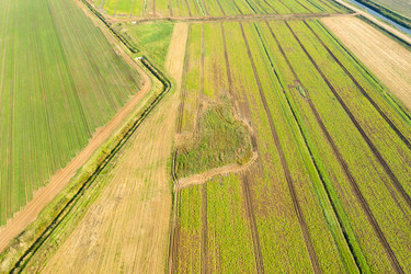 Similar image 21036506