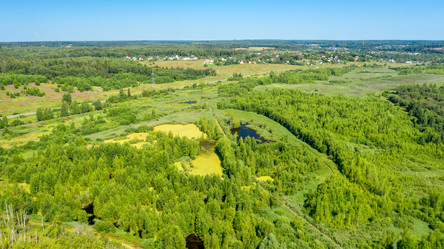 Similar image 21036509