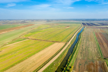 Similar image 21036510