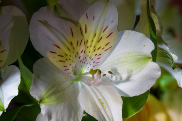 Similar image 21036513