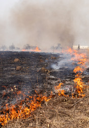 Similar image 21071764