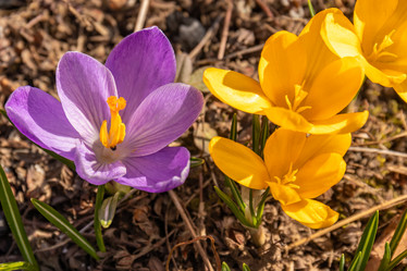 Similar image 21071220