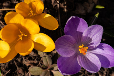 Similar image 21071221