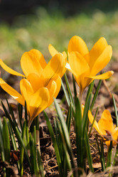 Similar image 21071222