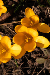 Similar image 21071223