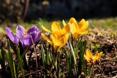 Similar image 21071224