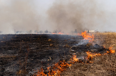 Similar image 21071226