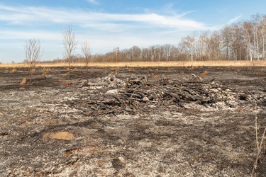 Similar image 21071227