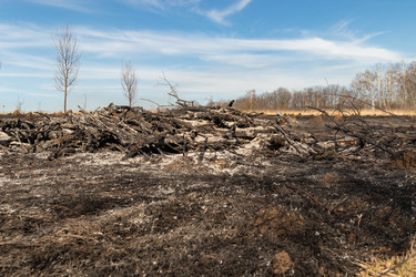 Similar image 21071228