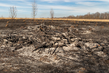 Similar image 21071230