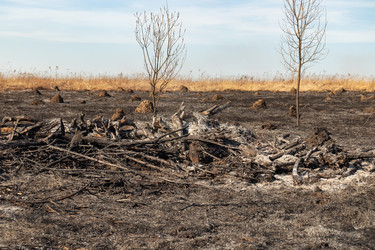 Similar image 21071231