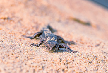 Similar image 21071232