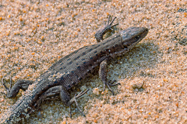 Similar image 21071234