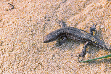 Similar image 21071235