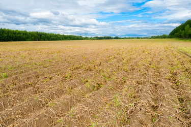 Similar image 21036515